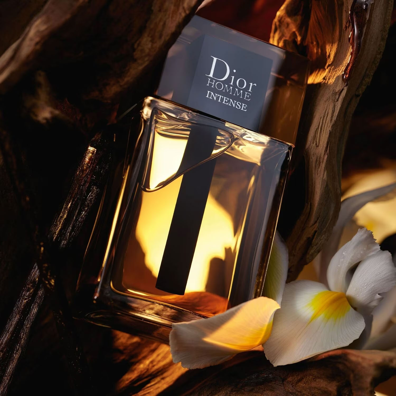  عطر هوم انتينس المركز ماركة ديور 