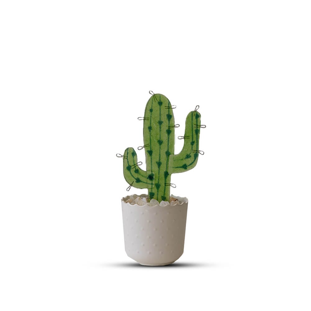 Sahara pot