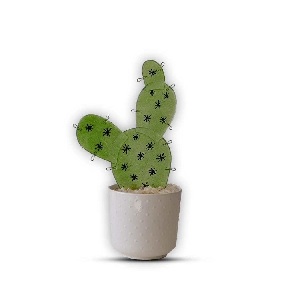 Oasis pot
