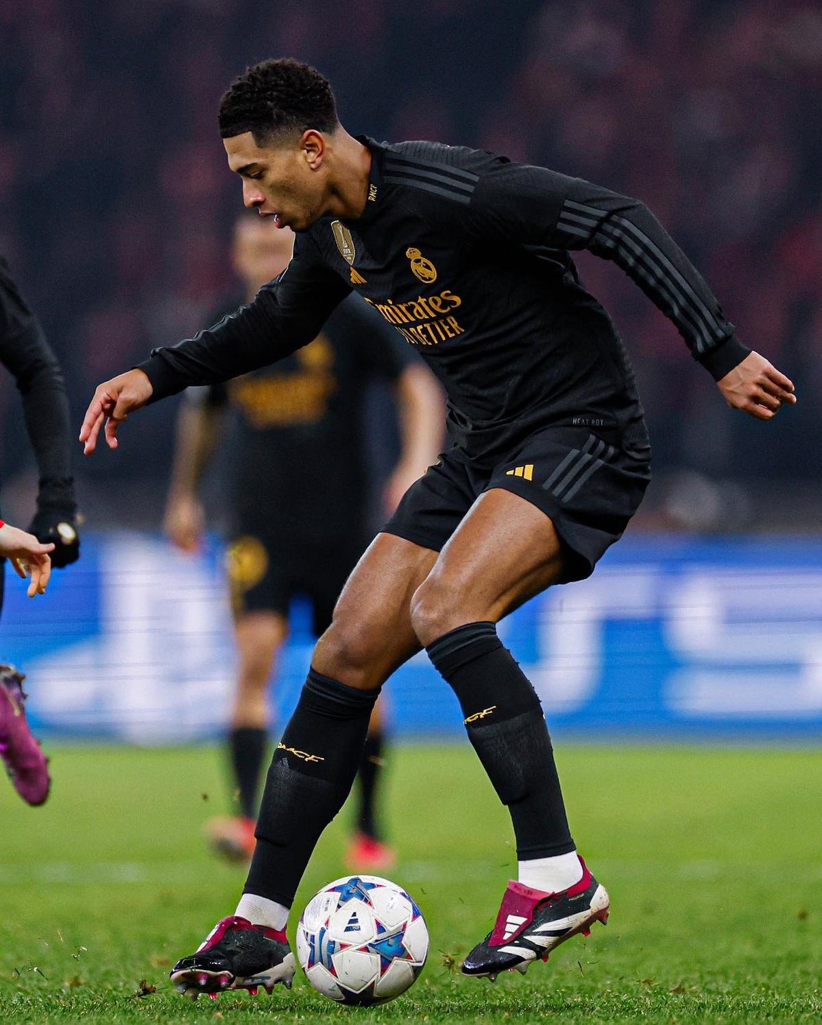  adidas predator  