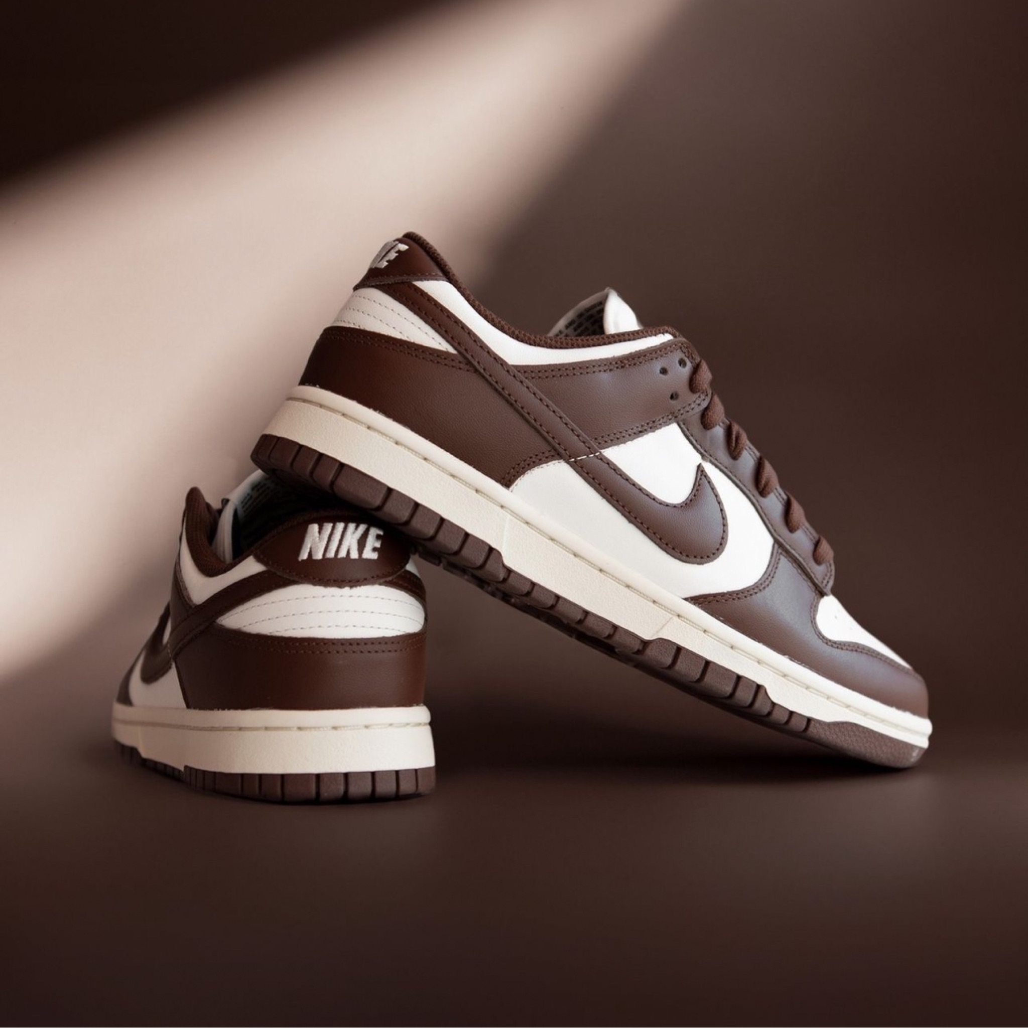  JORDAN Nike Dunk Lows ‘Cacao  