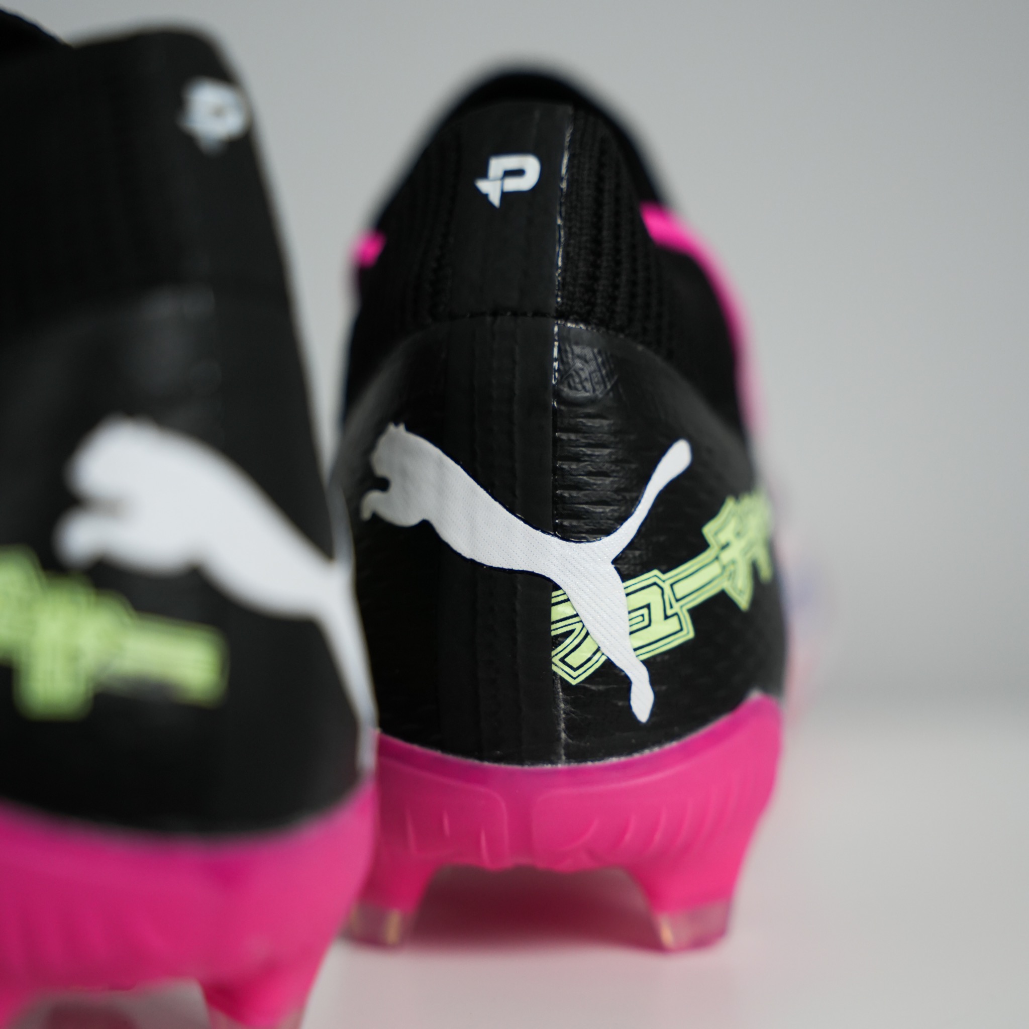  puma  