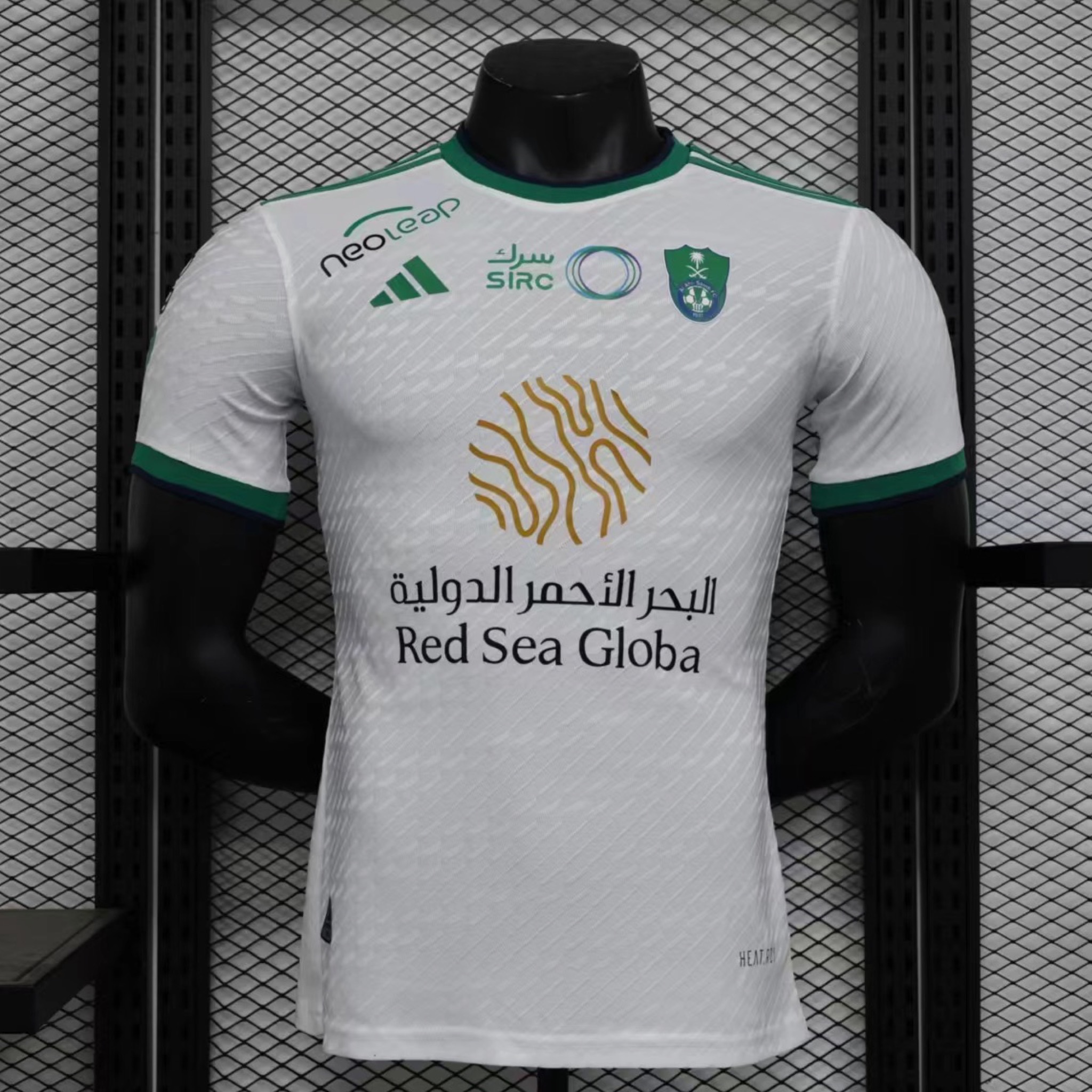  الاهلي الاساسي 
