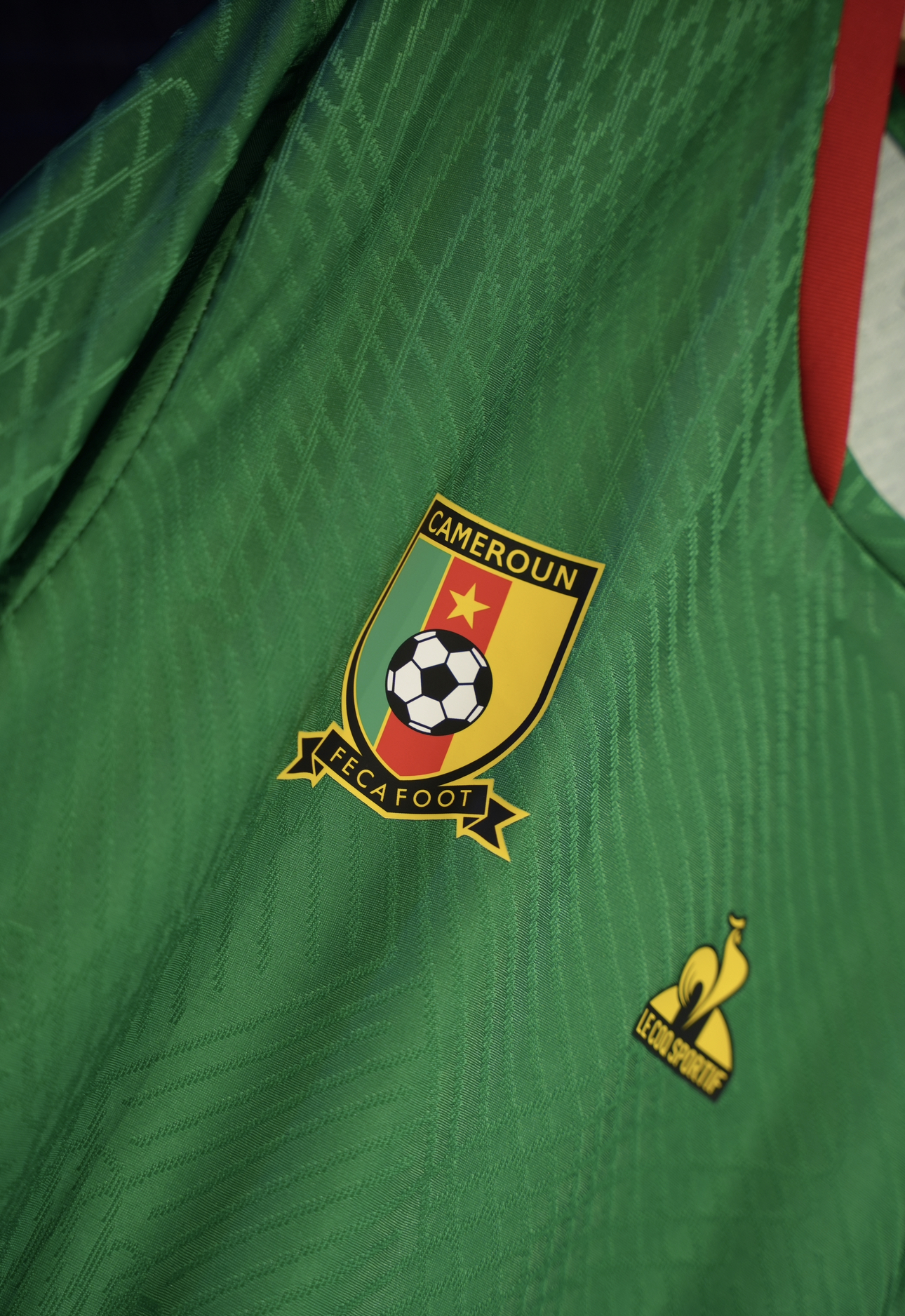  منتخب الكاميرون الاساسي 