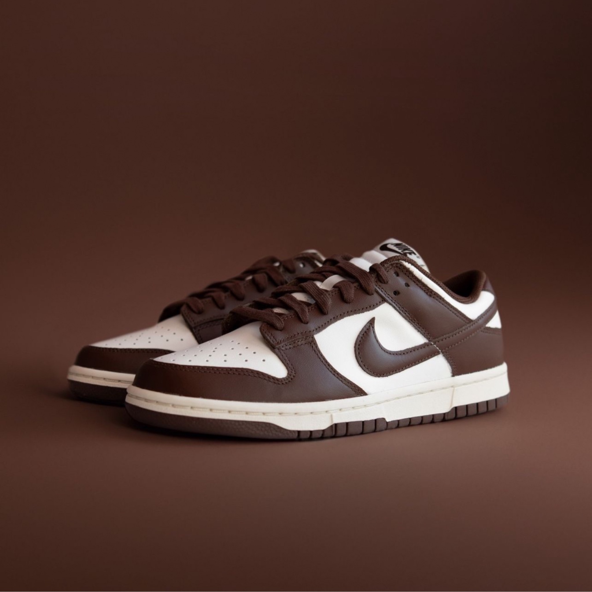  JORDAN Nike Dunk Lows ‘Cacao  