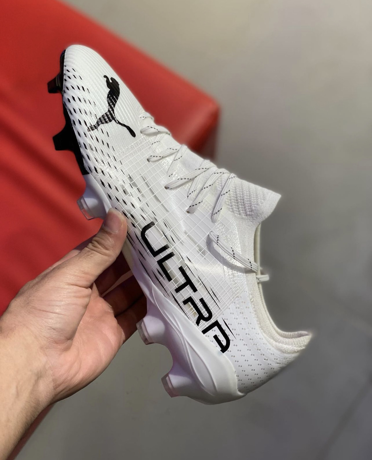  Puma 