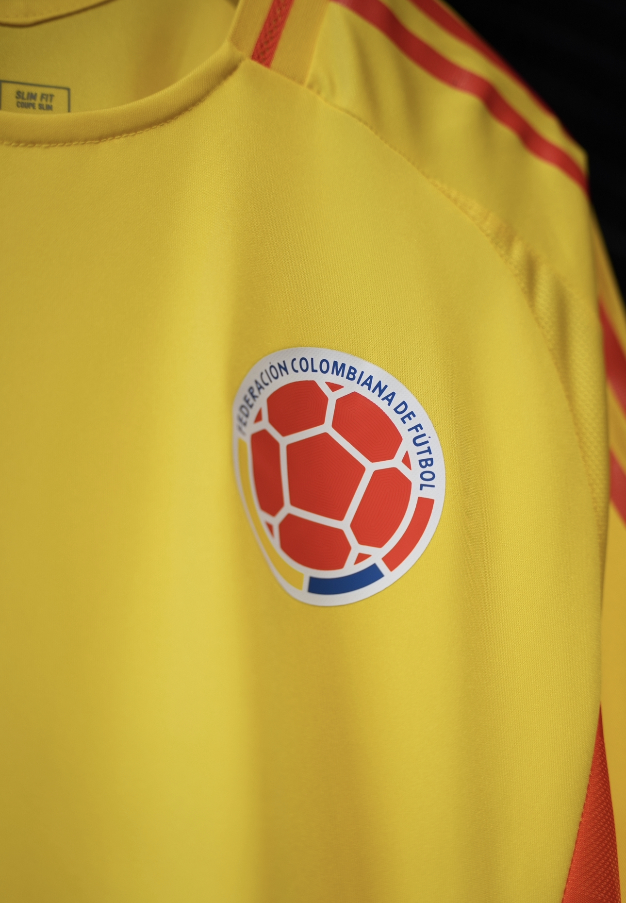   منتخب كولومبيا 2024/2025 