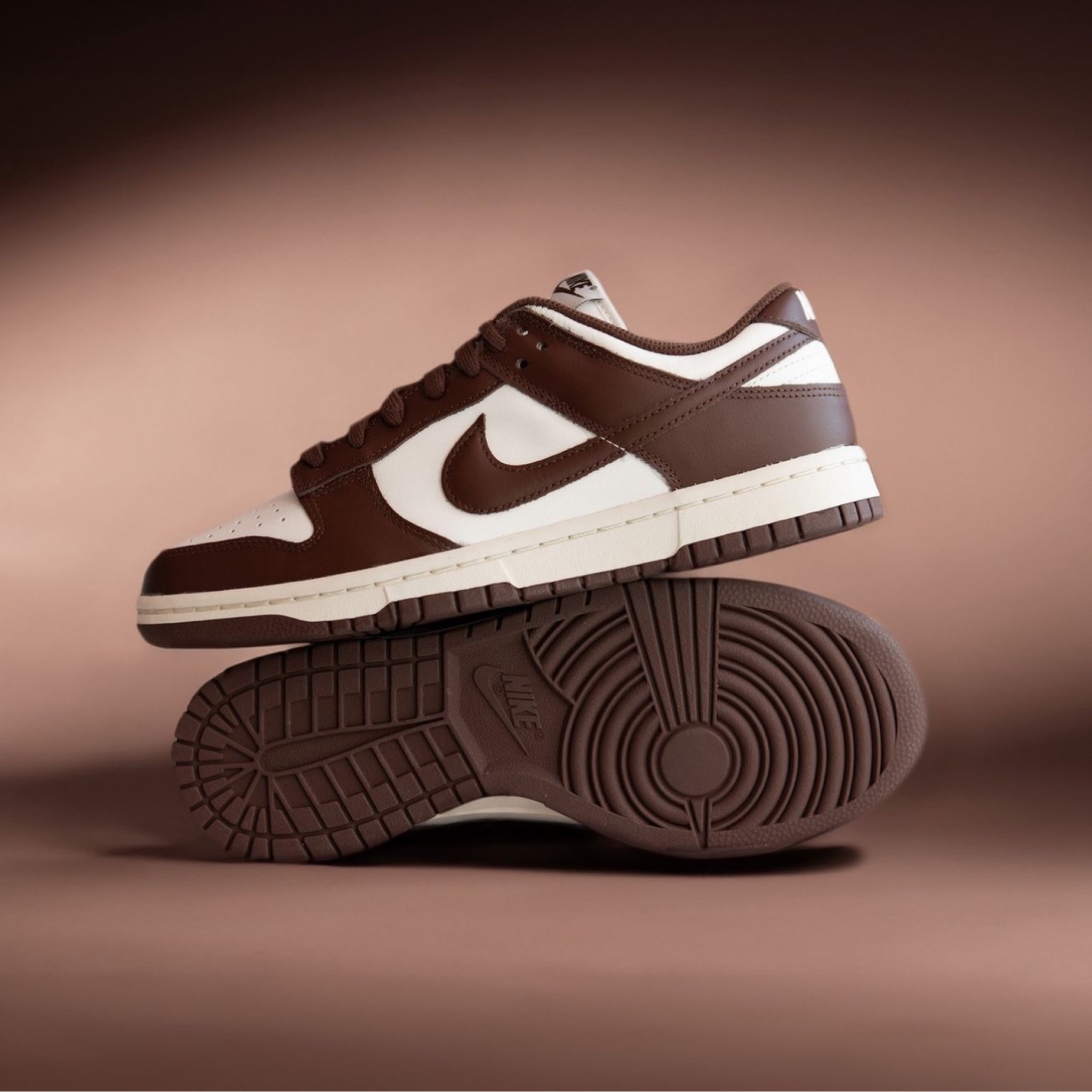  JORDAN Nike Dunk Lows ‘Cacao  