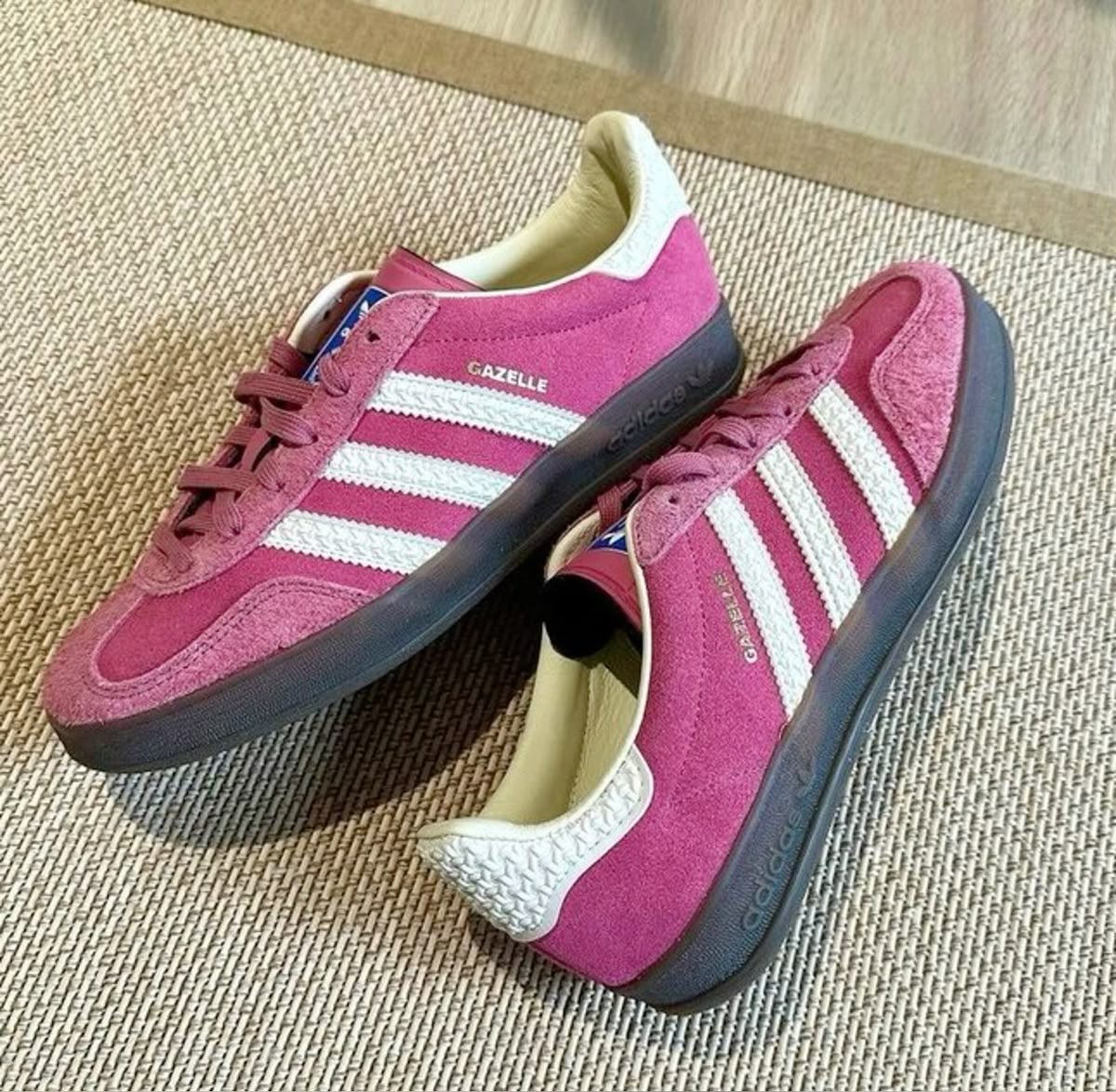  samba gazelle 