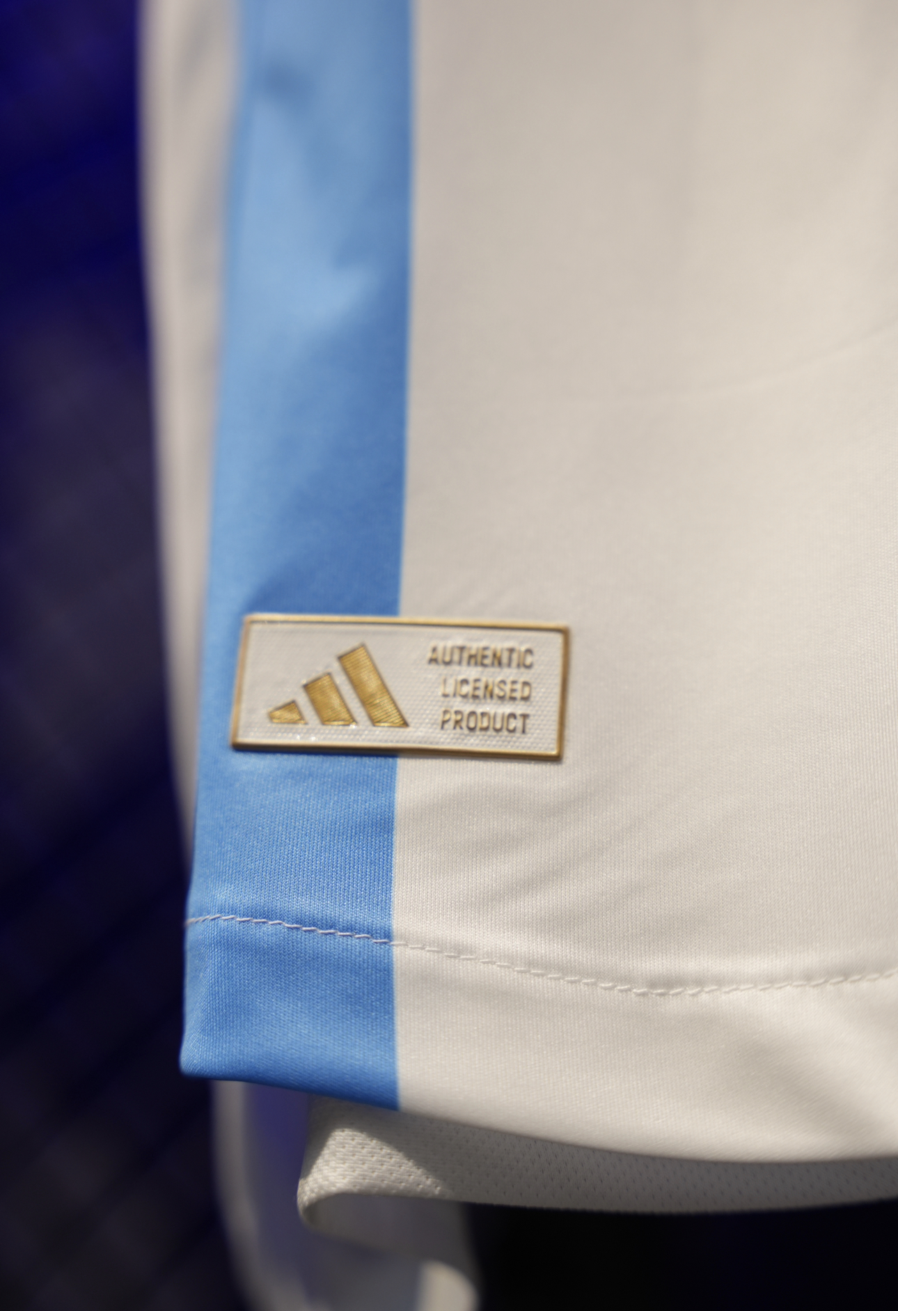  الارجنتين 2024 
