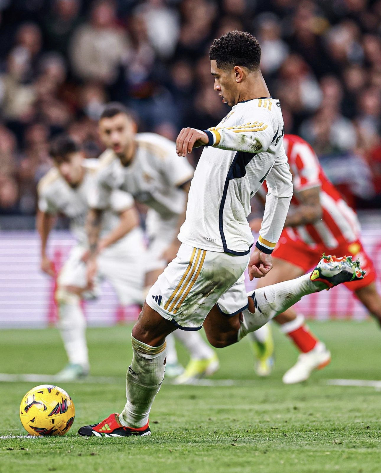 adidas predator  