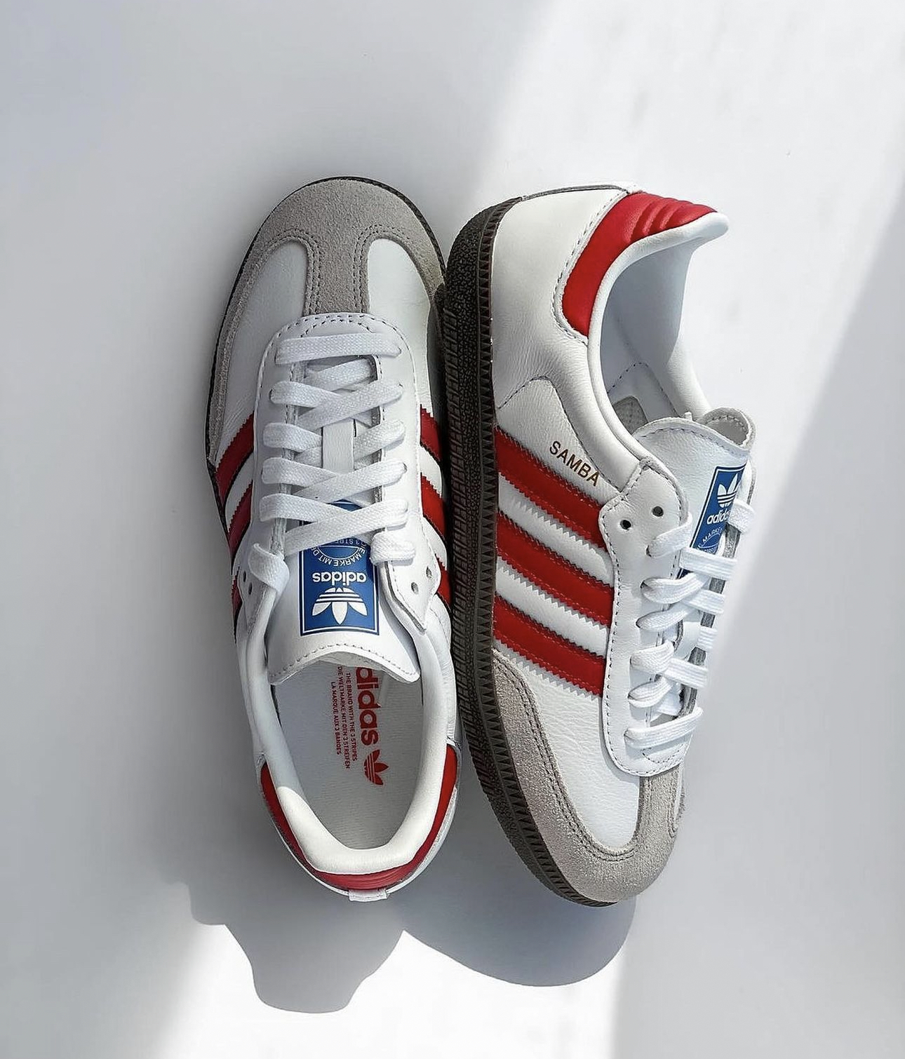  SAMBA Red&White 