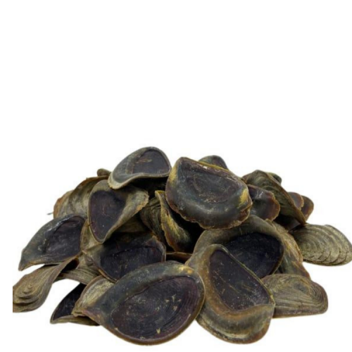 ظفر