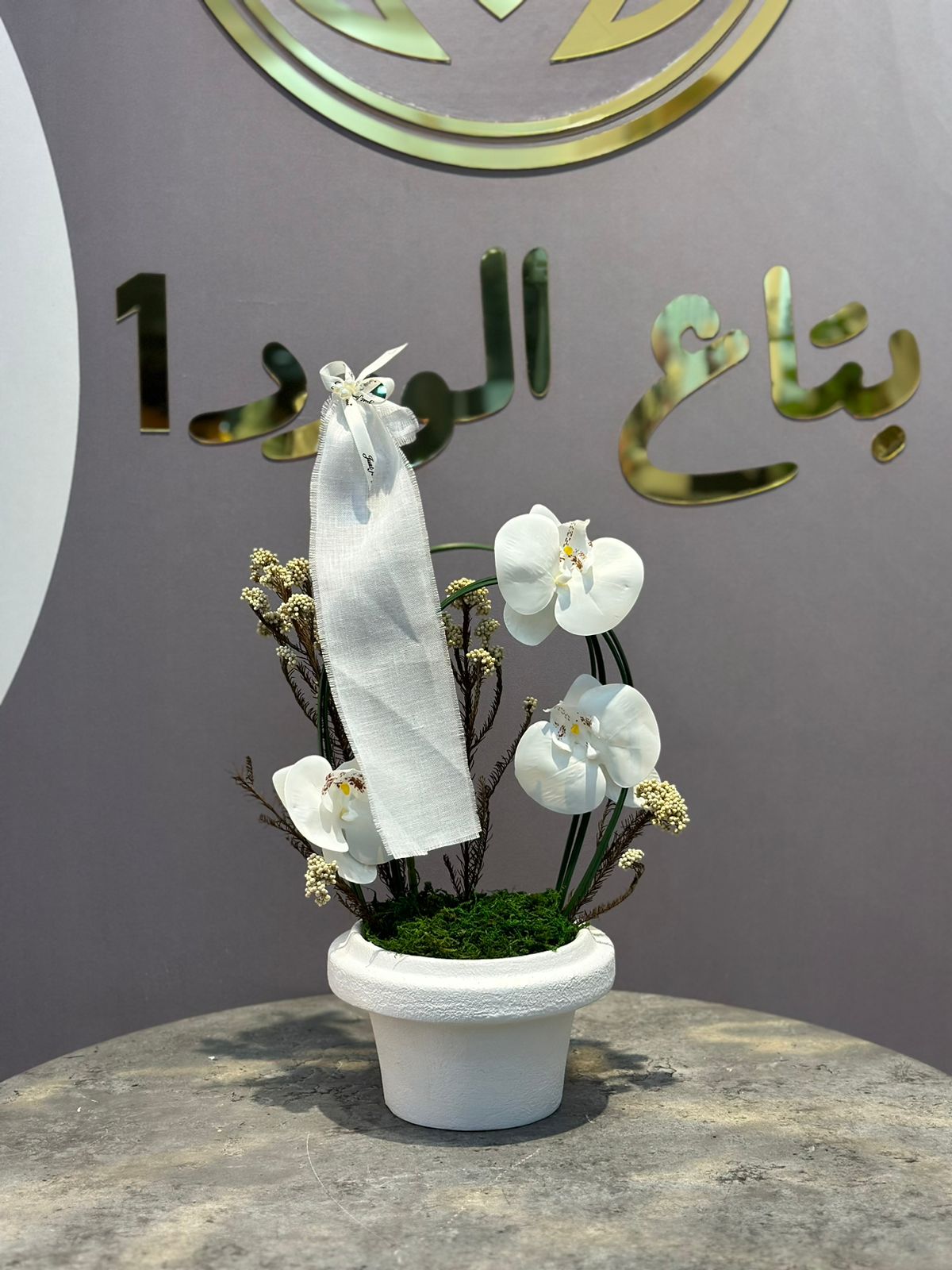 ورود بيض