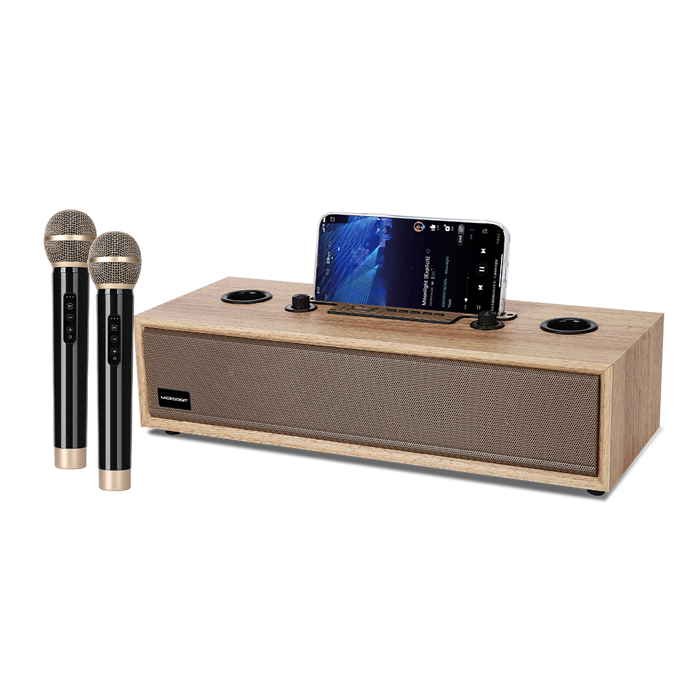 Portable Karaoke Speaker | MD674PS