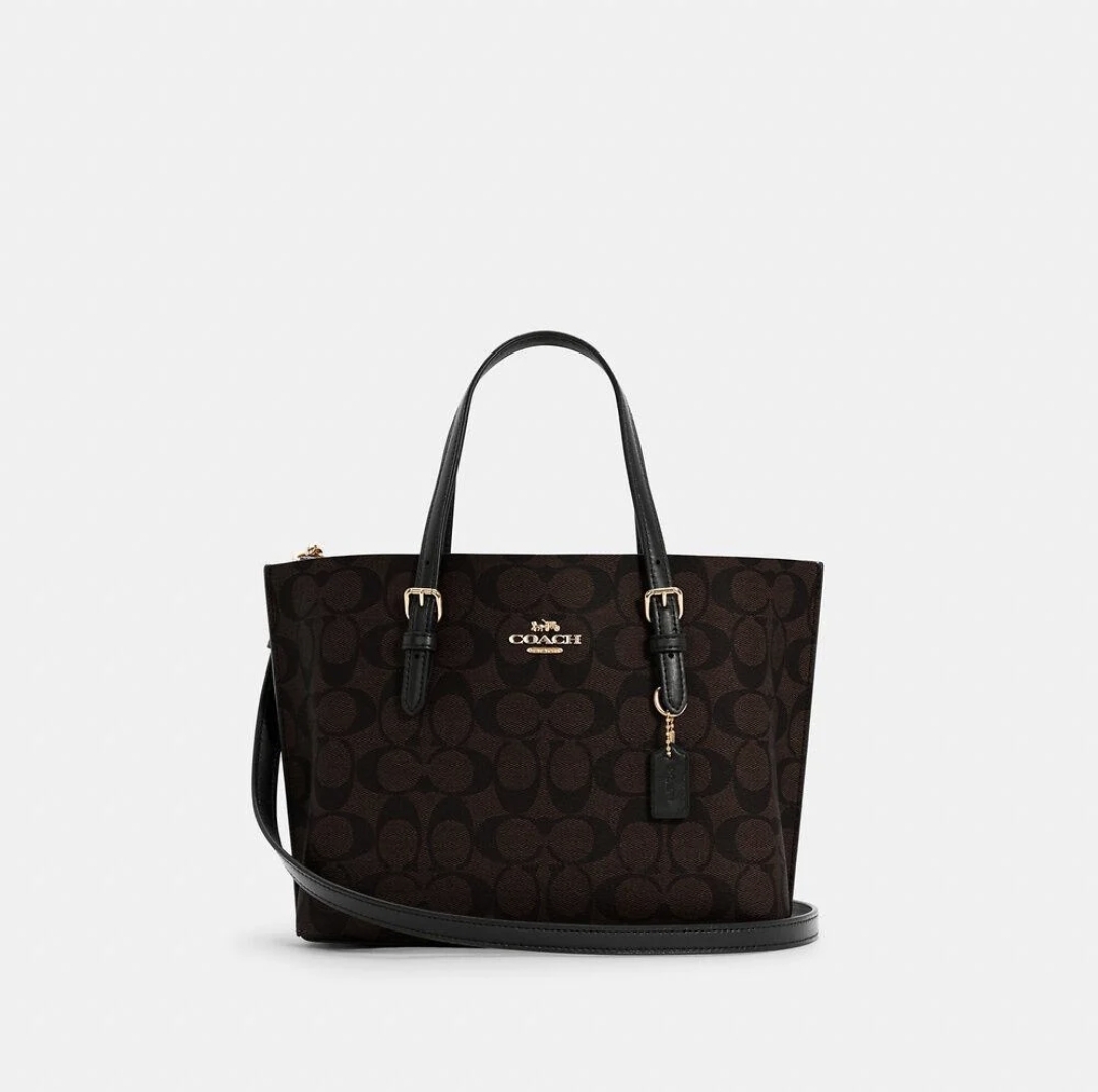  coach ( كوتش مولي تشيري بني اسبريسو ) 