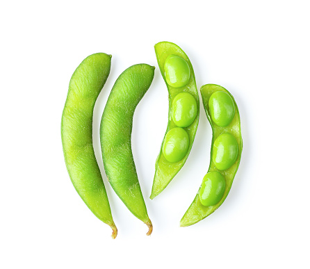 EDAMAME 