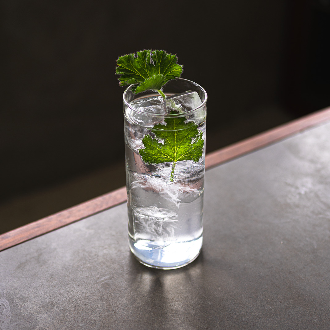 ماء مقطر (باين هيز) 
