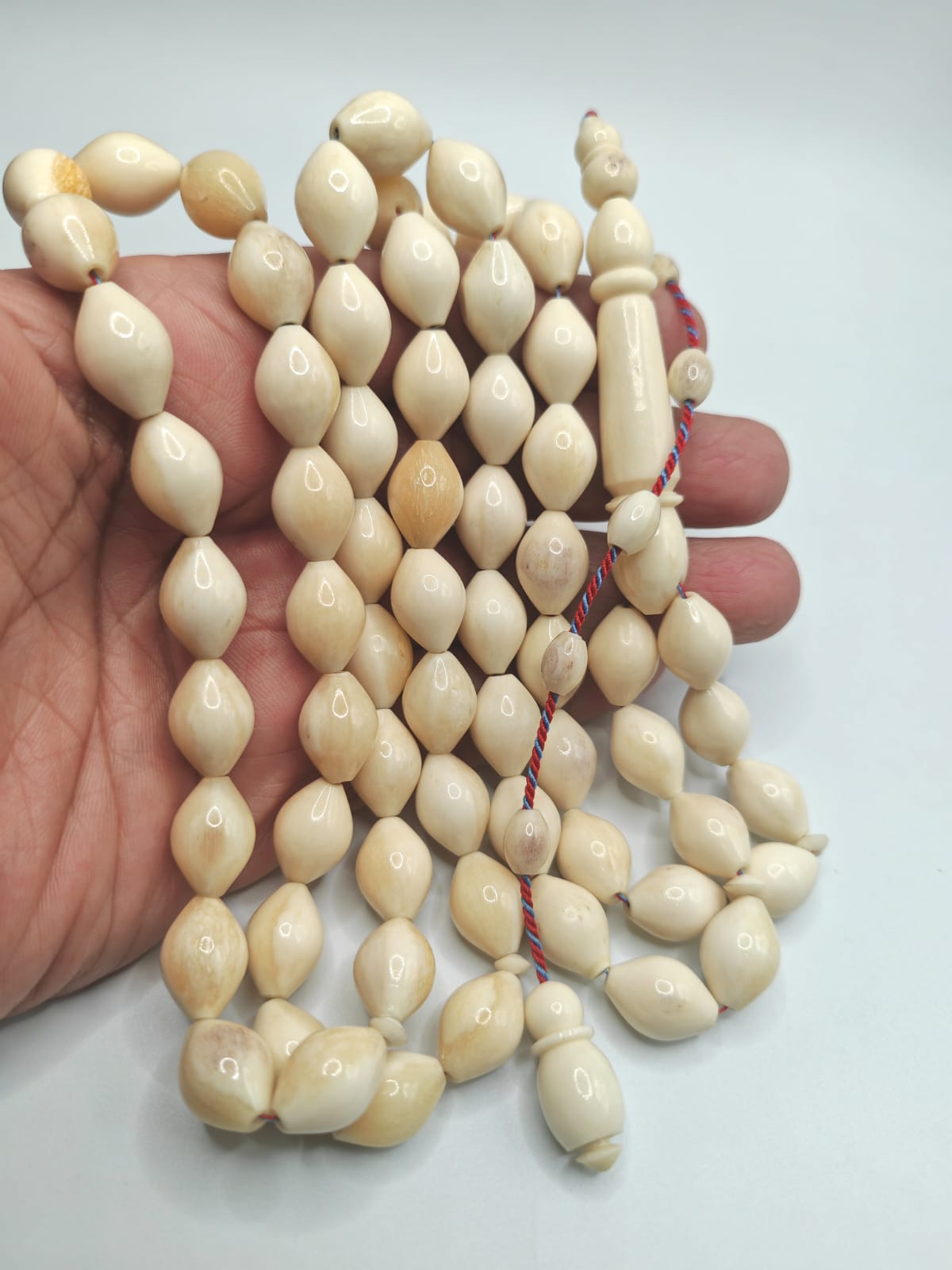 مسباح عظم جمل طبيعي بشكل زيتوني مع شاهد وخراطة تركية