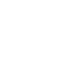 مندوب خاص