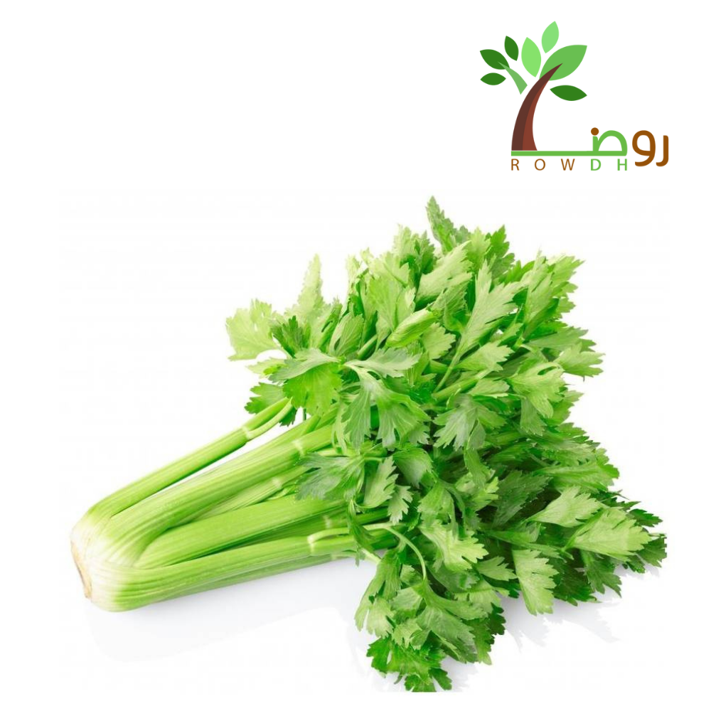 بذور الكرفس