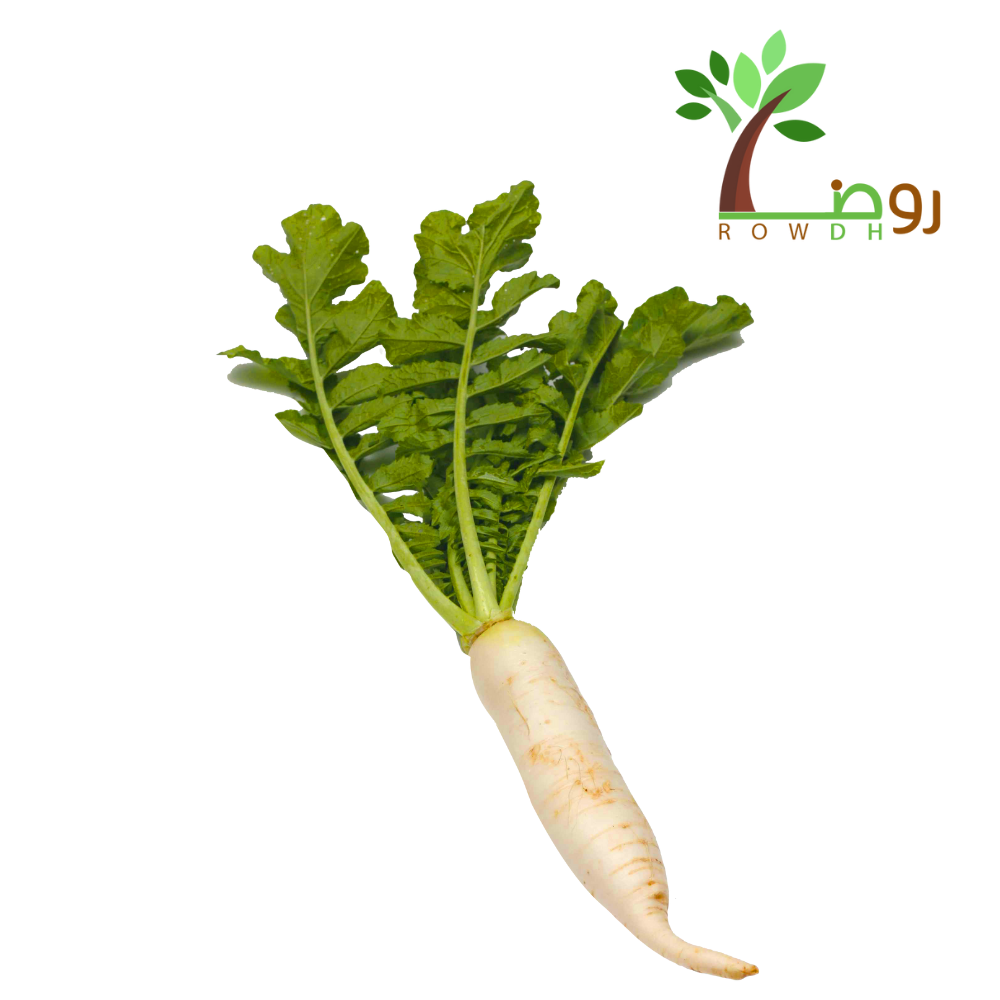 بذور الفجل الأبيض