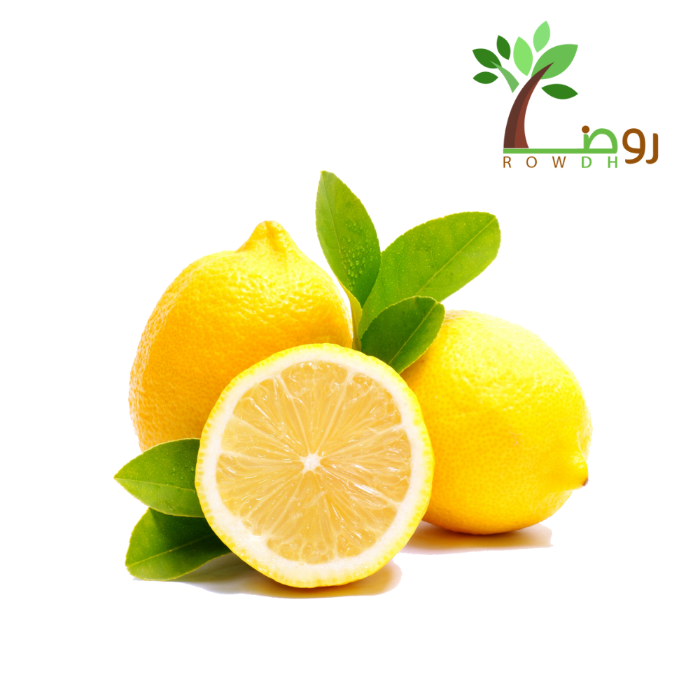 بذور فولكا مارينا
