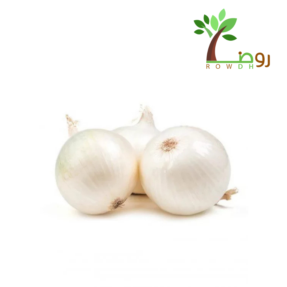 بذور البصل الأبيض