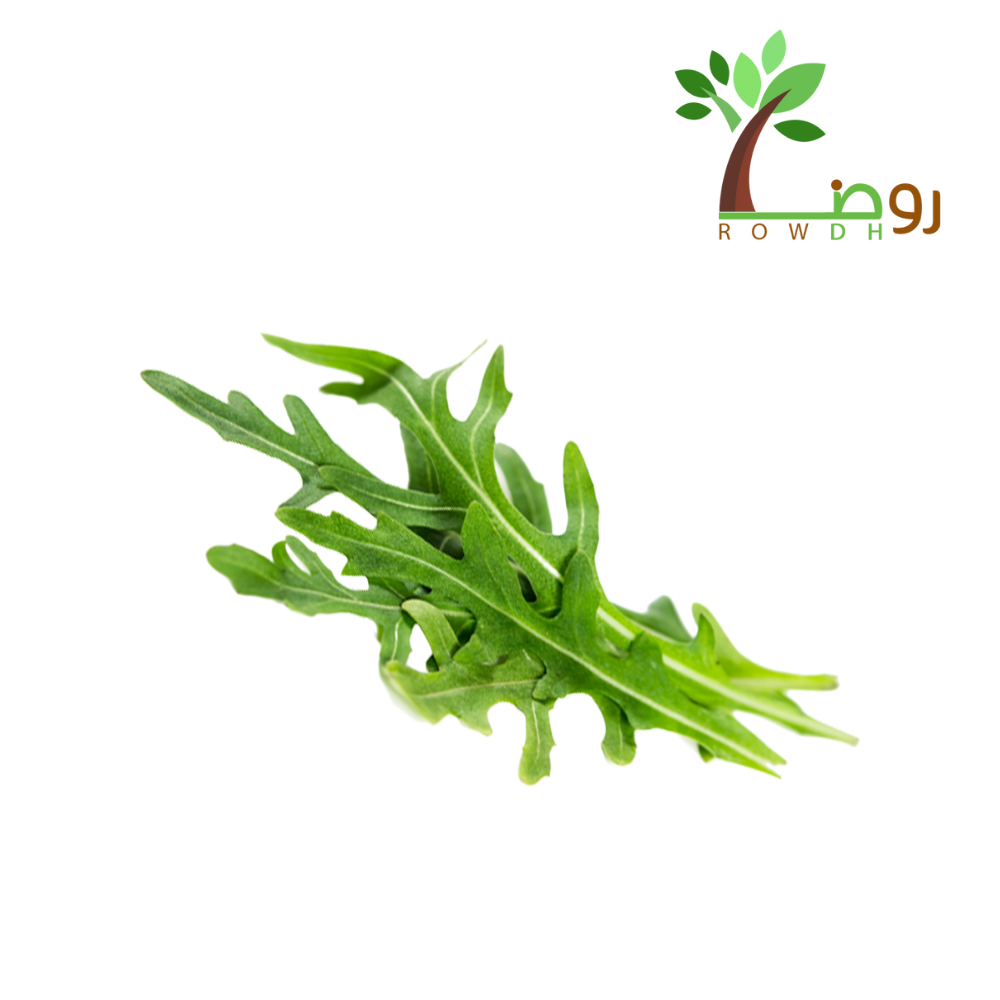 بذور الجرجير 