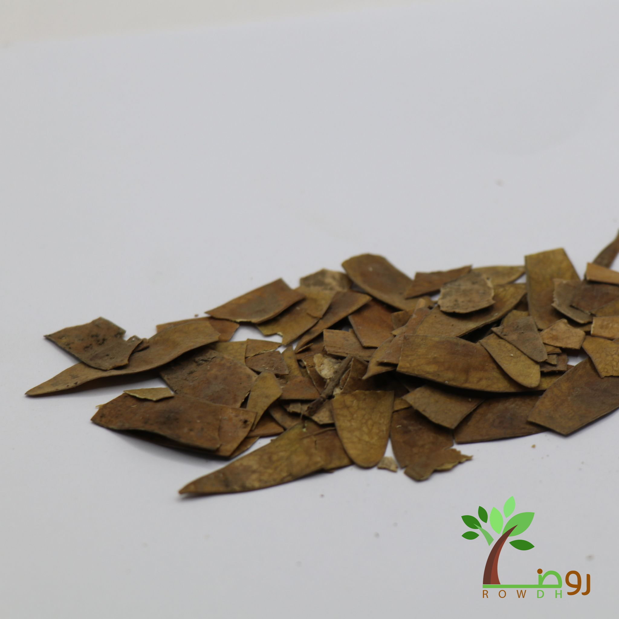بذور السرسوع