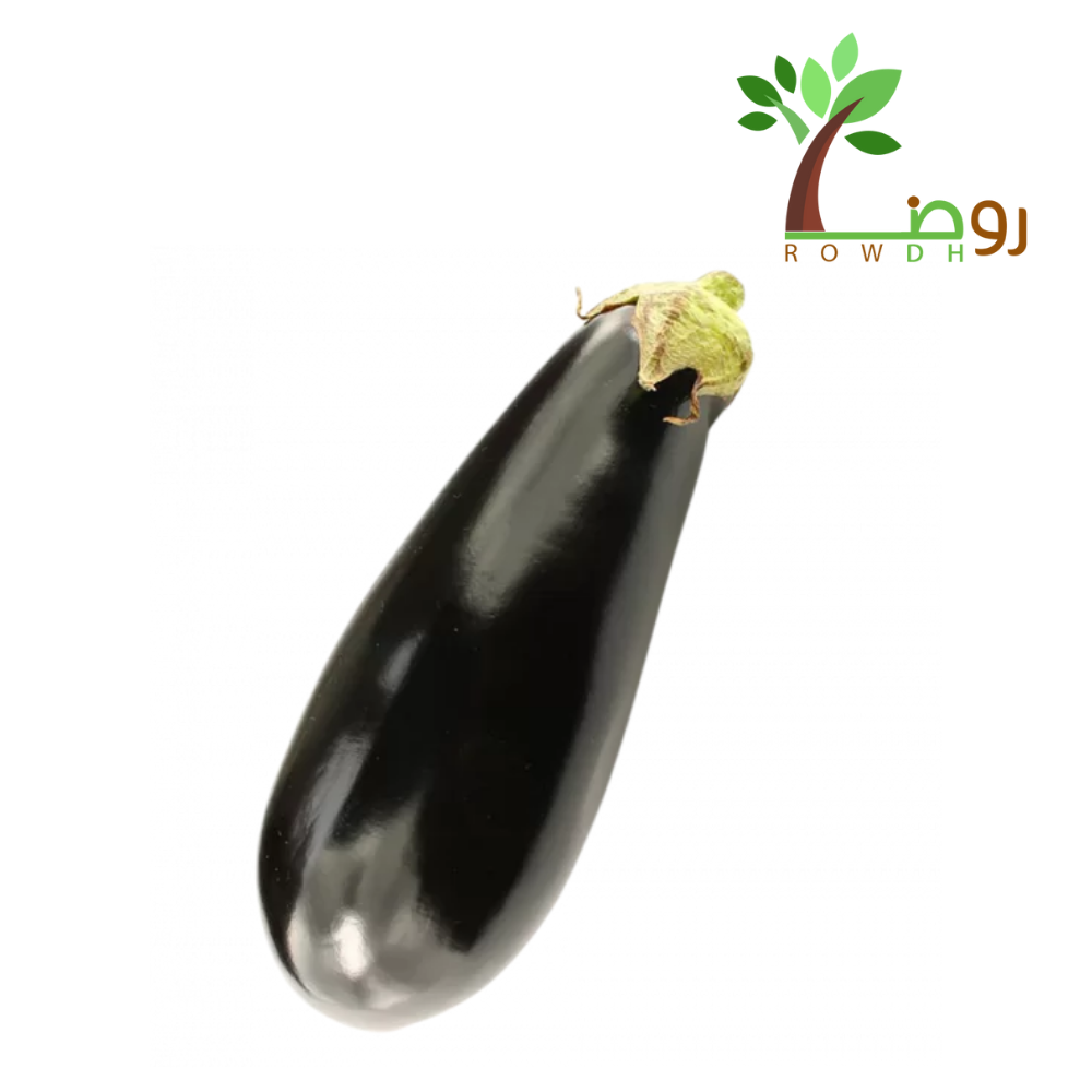 بذور الباذنجان
