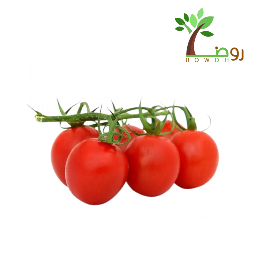 بذور الطماطم