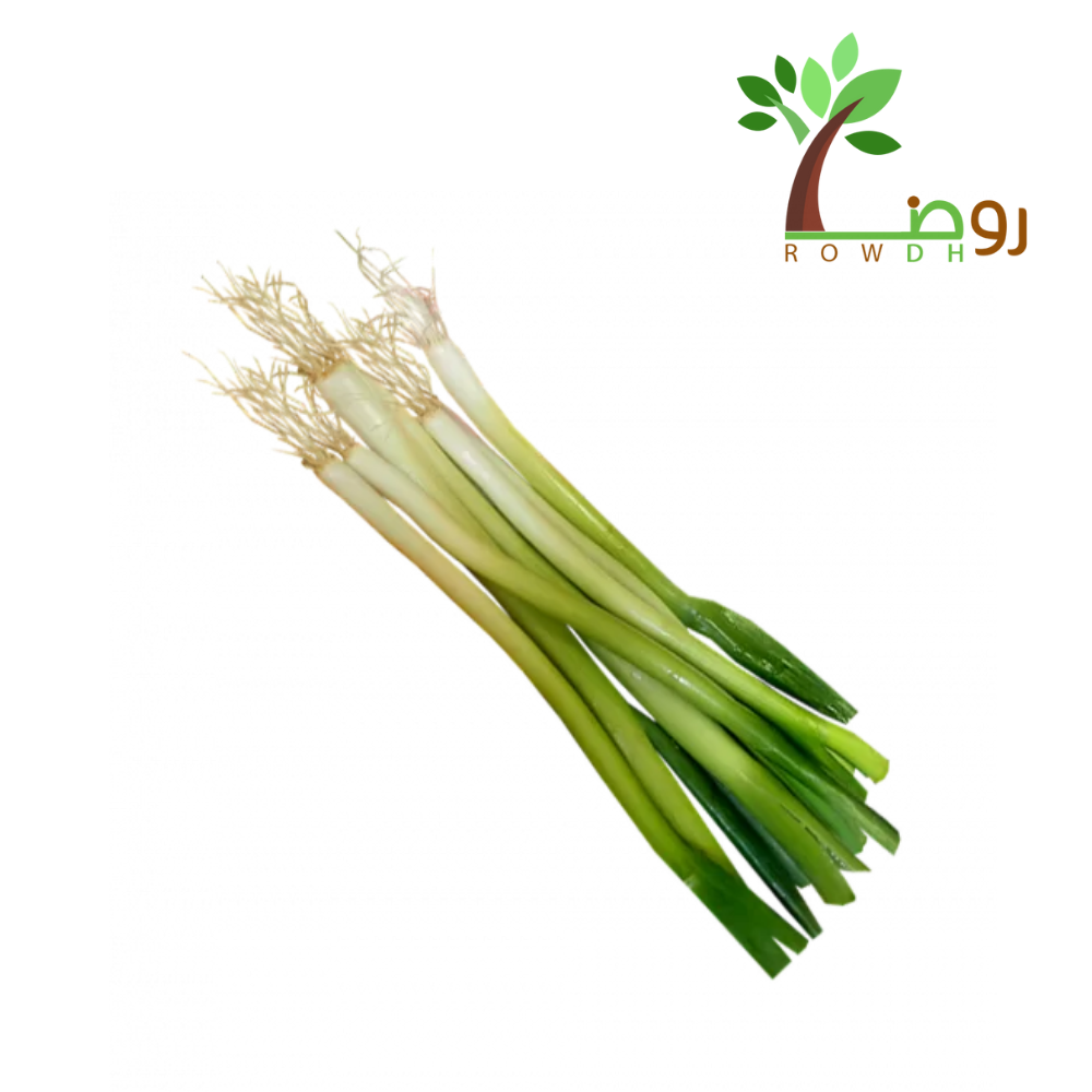 بذور البصل الأخضر