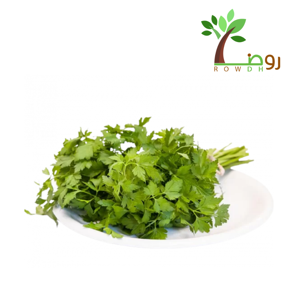 بذور البقدونس