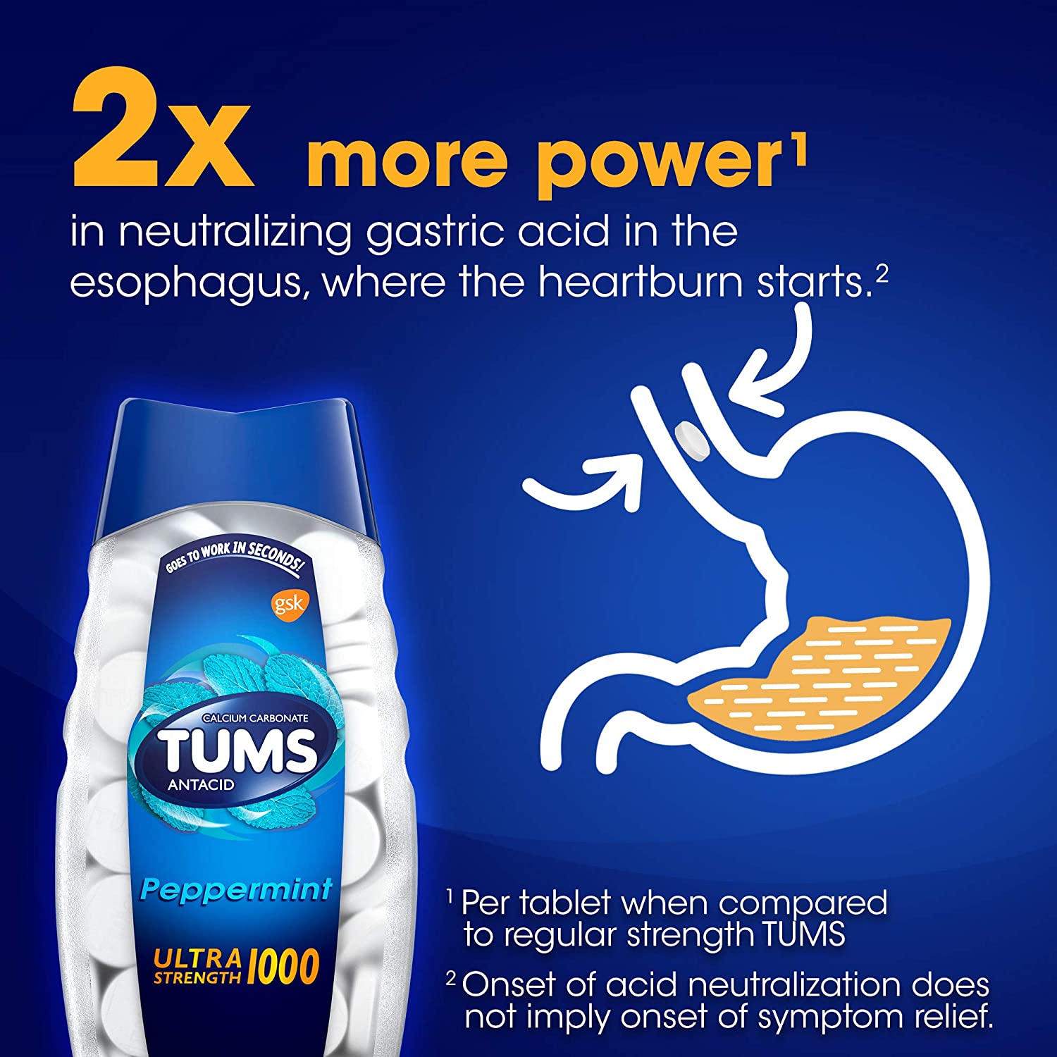  حبوب المضغ للحموضة وحرقة المعدة بنكهة النعناع قوة 1000 TUMS 