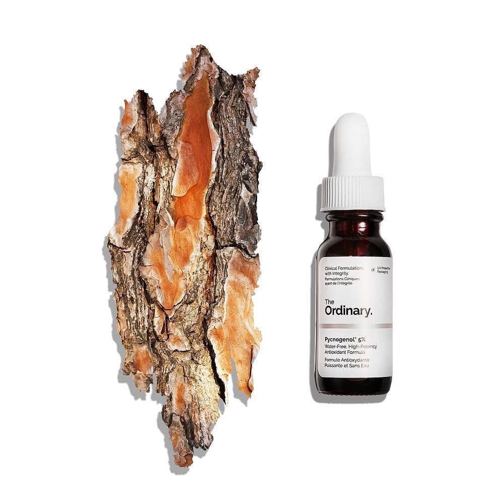  بيكنوغينول Pycnogenol 5%from the ordinary 