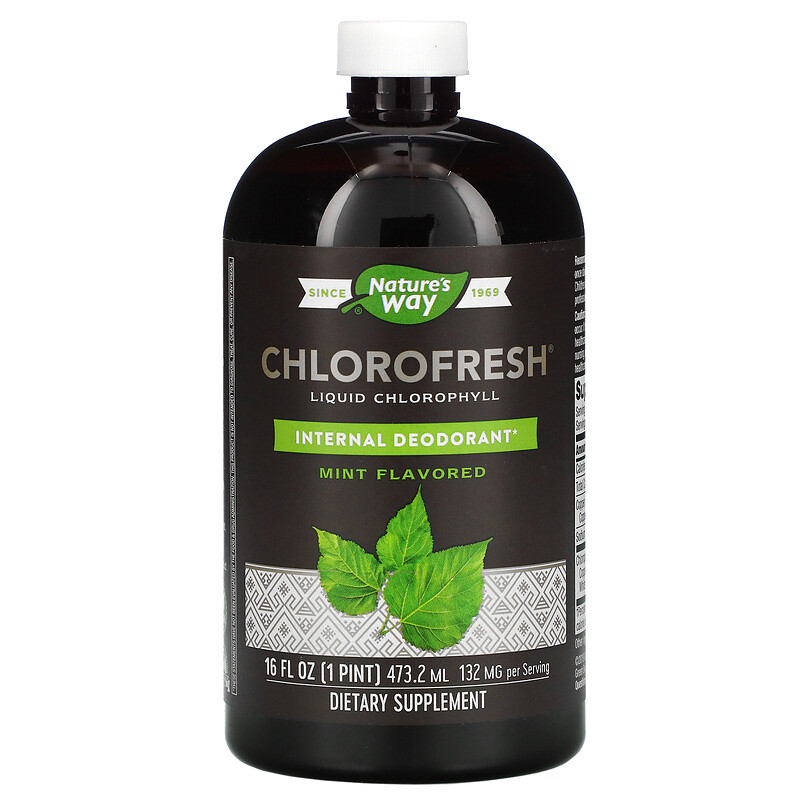  كلوروفيل سائل بنكهة النعناع Nature's Way Chlorofresh 