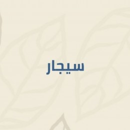 سيجار
