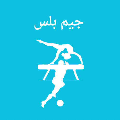 المنصه الرقميه للخدمات الالكترونية