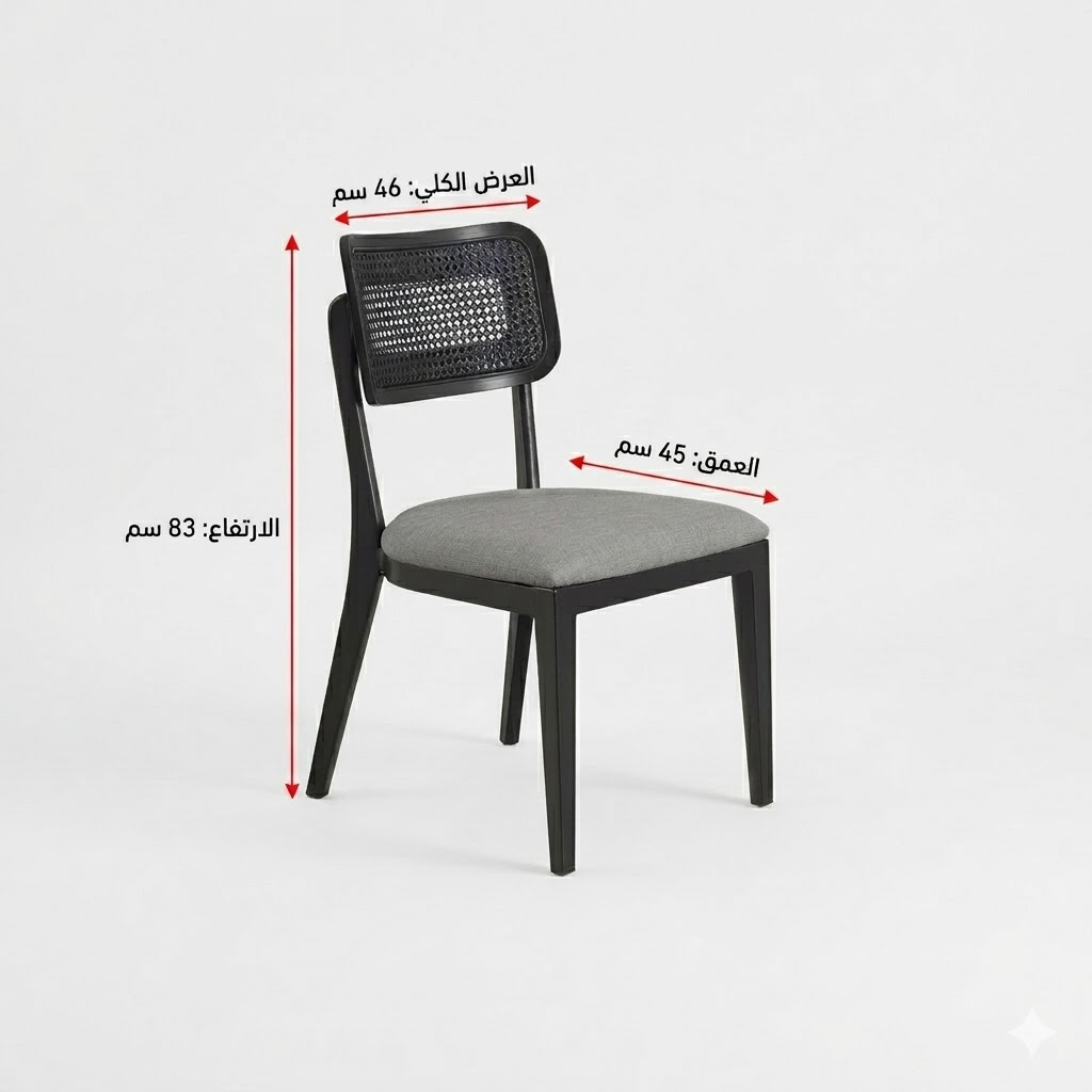  كرسي جلد مفرد أسود 