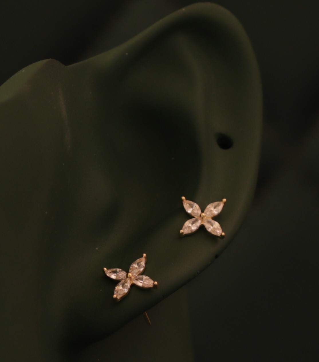 زهرتان وردية على خلفية داكنة