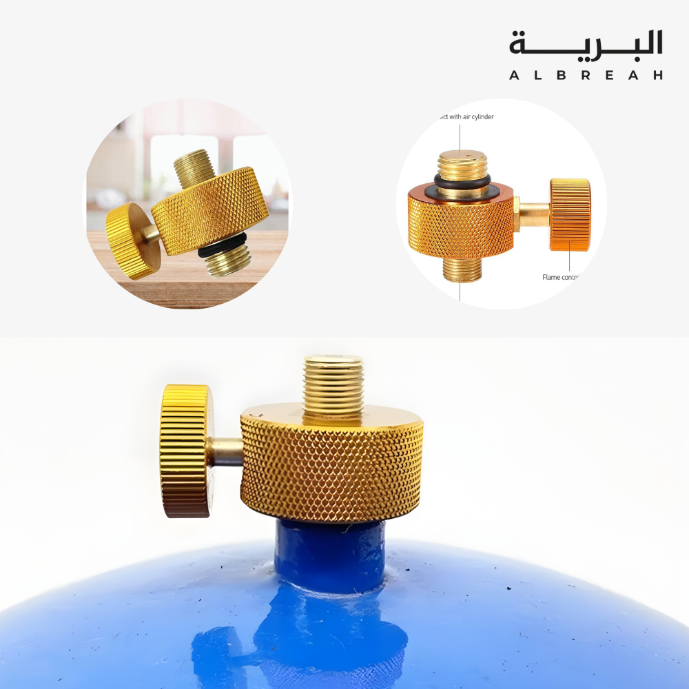  تحويلة من دبة إلى سنة 