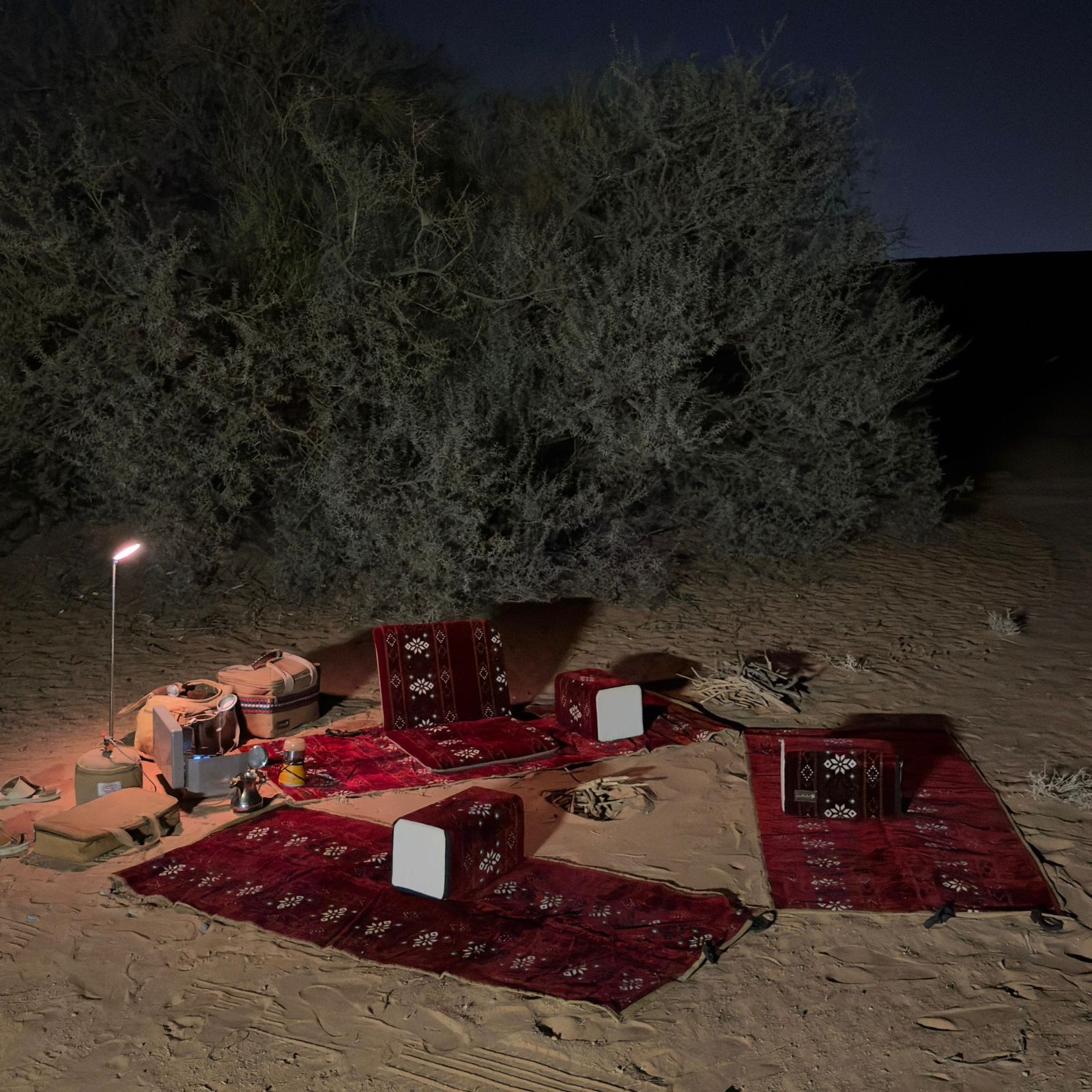  مدة البرية تركي (نقشة 1) 