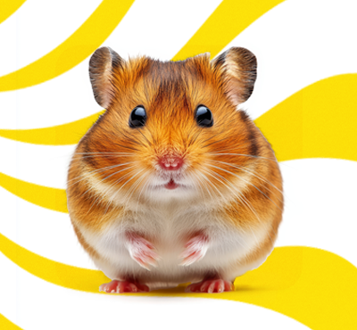 Small Pets Supplies