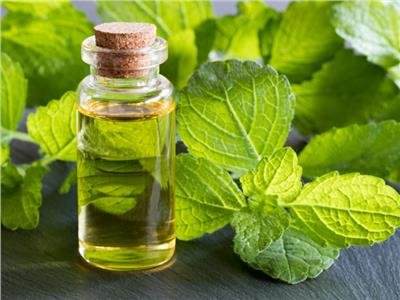 زيت عطري طبيعييظهر في الصورة زجاجة زيت صغيرة بغطاء محاطة بأوراق النعناع الخضراء الطازجة
