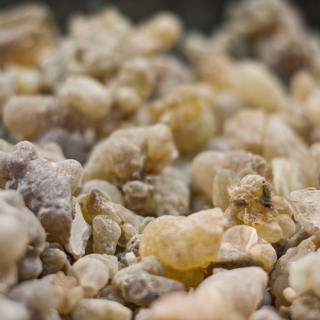 Hojari Frankincense Undetermined weight Unspecified Brand Closeup of frankincense grains in white brown and gray colors