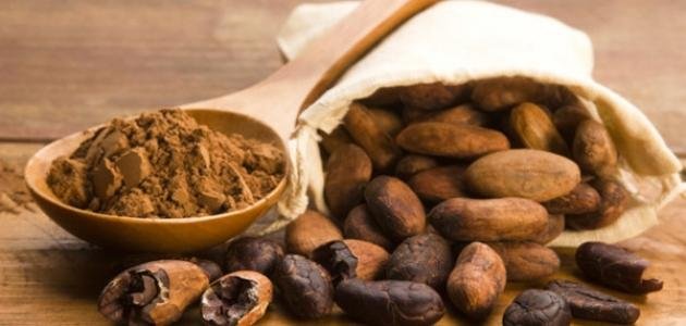 صورة مقربة تظهر قرون الكاكاو الكاملة والمقطعة مع مسحوق الكاكاو وحبوب الكاكاو وأوراق الكاكاو الخضراء