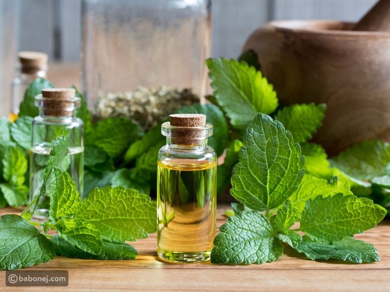 زيت عطري طبيعييظهر في الصورة زجاجة زيت صغيرة بغطاء محاطة بأوراق النعناع الخضراء الطازجة