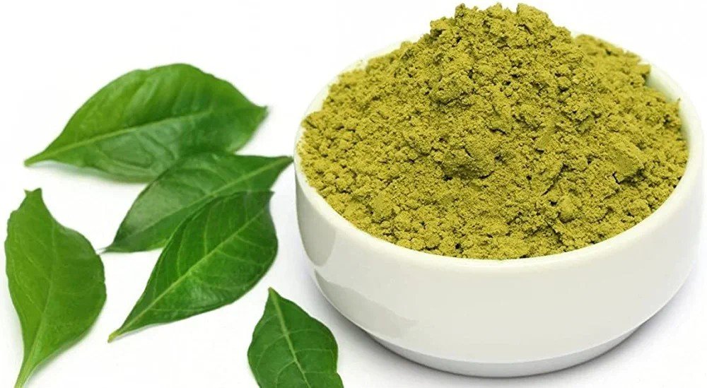 المبارك للعطور حناء يمني طبيعي 100 500 غم مسحوق الحناء الأخضر في وعاء أبيض مع أوراق نبات الحناء الخضراء