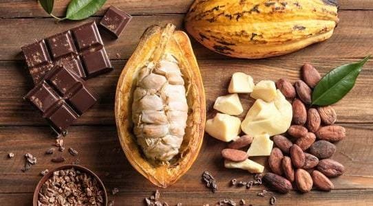صورة مقربة تظهر قرون الكاكاو الكاملة والمقطعة مع مسحوق الكاكاو وحبوب الكاكاو وأوراق الكاكاو الخضراء